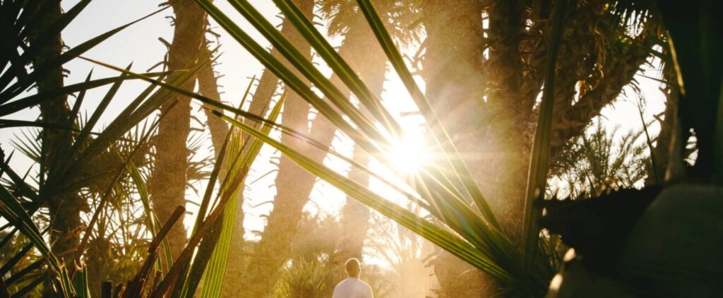 Don't launch blind! Discover the urgent SEO strategy to define your site's revenue goals